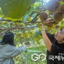 삼동면 동천 이미지