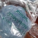 능소화꿈나무 이미지