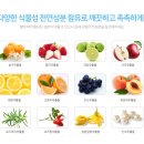 허브퍼피