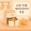 건강발효식 및 가정요리 | 소형 1인용 에어프라이어 추천! 요리 초보도 금손으로! 1인 가구 삶의 질 수직 상승