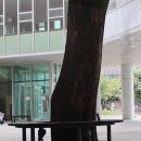 서울혁신파크 이미지