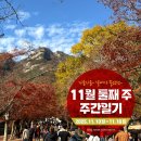 2025년 11월 둘째 주 주간일기