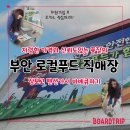 부안여행가서 부안로컬푸드직매장 할인행사때 장보고 바베큐까지 한 후기