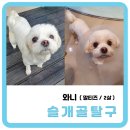 와니동물병원 이미지