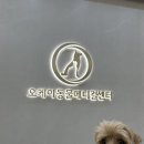 송도24시동물병원 | 강아지도 건강검진,혈액검사가 필요해요 - ‘오케이동물메디컬센터’