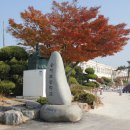 송지초등학교 Daum카페