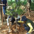 조경기능사 필기과정 이미지