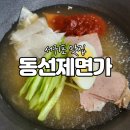 예쁜돼지 | 제주도 예쁜식당 동선제면가 몰망국수 흑돼지 냉국수 후기