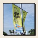 대가야테마관광지 입구 주차장 | 고령 멜빙축제 체험 행사 주차 팁 (방문 후기)