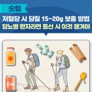 저혈당 시 당질 15~20g 보충 방법 이미지
