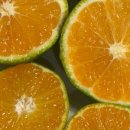 유라농장 이미지