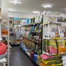 펫미리애견샵 이미지