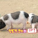 경완목장 이미지