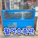 태종횟집 | 사상 태종 횟집 — 선해양 수족관 두 번째 납품 후기