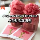 제품 리뷰 | 부모님, 선생님께 선물하기 좋은 서가당 정과 세트, 금귤정과, 호두 정과 후기