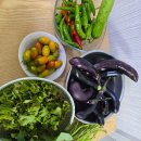 희정이네농장 이미지