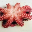 (주)청해명가 이미지