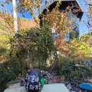 홍시먹으러곶감 이미지