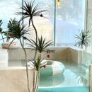 도고소풍스테이 이미지