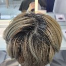 뷰티바이올렛 | 브라운보다 선명하고, 부담은 덜했던 레드바이올렛 컬러 후기