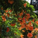 수로왕릉 이미지