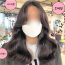 아이디헤어 운정목동점 | 파주미용실 아이디헤어 운정목동점 허쉬컷 후기 정리