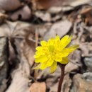 보수초등학교 이미지