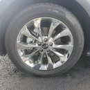 몬스터개러지 이미지