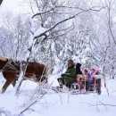 더화룡
