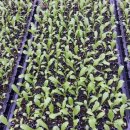 미림농장 이미지