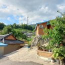 정이민박 이미지