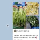 월곡시장2 이미지