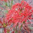 대동약업사 이미지