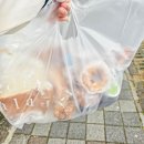 아라파파 | 제주 연동 카페 아라파파 빵지순례 필수코스!
