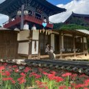 간전중앙로 이미지