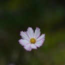 담안길 | 아이들과 함께 가기 좋은 경남야영장 디지털곤충학습관 캠프에 다녀왔어요.©캠로그예니