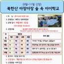 2024년 하반기 아장아장 유아숲체험 안내합니다(기관, 단체 대상) 이미지