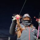 세진호 | 고흥낚시배 녹동세진호 방문후기