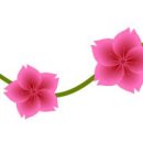 수리산역 이미지