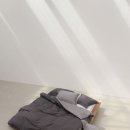 모달리