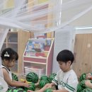 수박수박이 나왔어요🍉 이미지