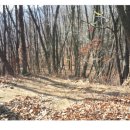 봉화산커피 이미지