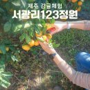 서광리-25 네이버블로그