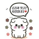 완앤송 | 따뜻한 소고기국수를 맛볼 수 있는 속초 맛집 완앤송 하우스 레스토랑 평일 웨이팅 없이 들어간 후기