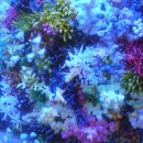 제주궁전 이미지