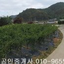 광주광역시 광산구 오산동 전680제곱,매1억9천,광주광역시토지매매,광산구토지매매 이미지