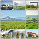 4월16일(목)~19일(일)제주도&amp;섬/가파도청보리/꽃길투어(3박4일)여행신청 이미지