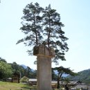 징효대사보인탑비 | 영월 흥녕사 징효대사탑비(寧越 興寧寺 澄曉大師塔碑).강원