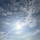 모슬여휘 이미지