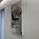 노비뇨기과의원 이미지